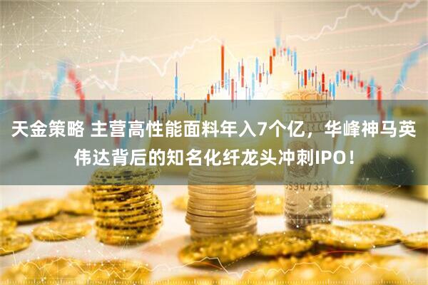 天金策略 主营高性能面料年入7个亿，华峰神马英伟达背后的知名化纤龙头冲刺IPO！