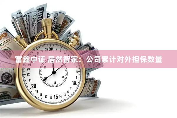富鑫中证 居然智家：公司累计对外担保数量