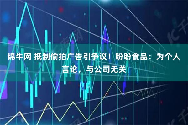 锦牛网 抵制偷拍广告引争议！盼盼食品：为个人言论，与公司无关