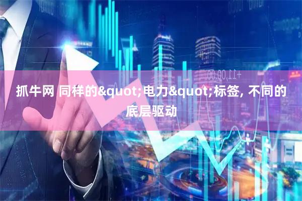 抓牛网 同样的"电力"标签, 不同的底层驱动