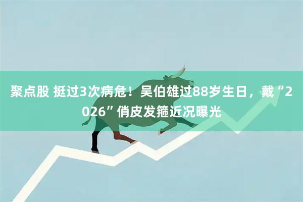 聚点股 挺过3次病危！吴伯雄过88岁生日，戴“2026”俏皮发箍近况曝光