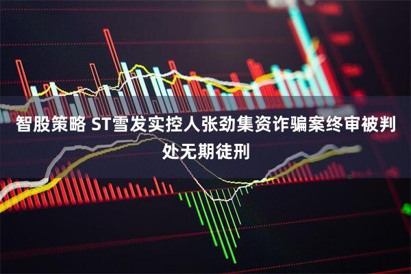 智股策略 ST雪发实控人张劲集资诈骗案终审被判处无期徒刑